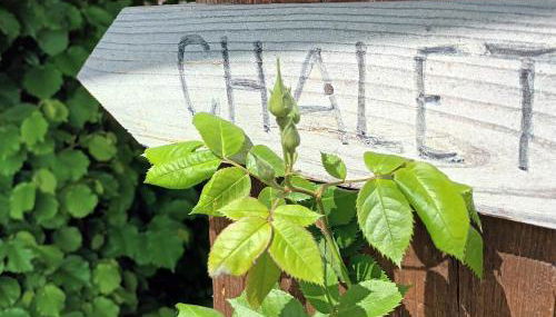 Chalet des noisetiers - Foto 2