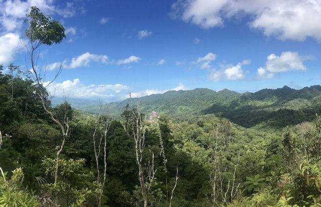 Wavi Island Villas - Foto 17