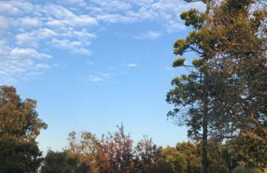 Maison de vacances dans village AUTHENTIQUE Corse - Foto 27