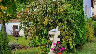 Fewo Strobl - Foto 5, Garden, Garden view