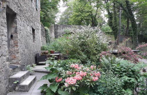 Alte Falknerei - Foto 25