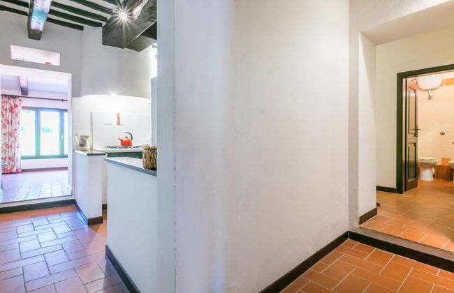 Bardeggiano - Caterina 3 (COL246) - Foto 34