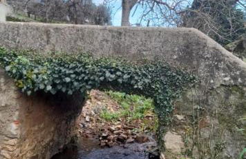 Olive -Casa da Boavista - Foto 10