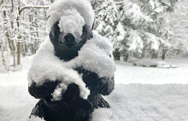 Mountain Condo with Modern Cabin Style - Foto 16