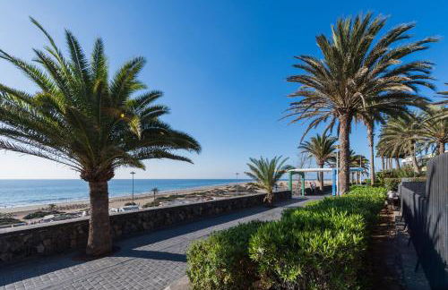 Apartamentos El Paseo - Foto 90