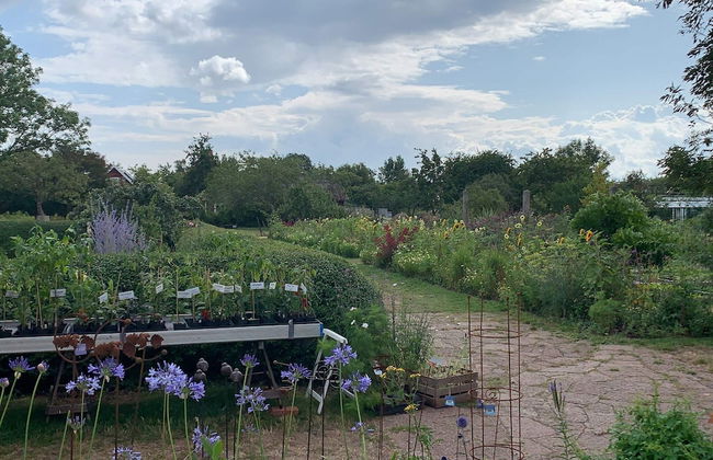 10 Person Holiday Home in Farjestaden - Foto 25