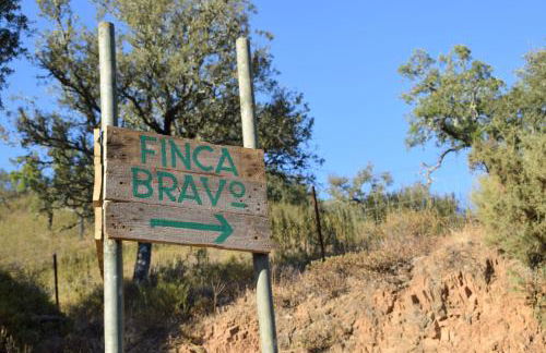 Finca Bravo - Foto 75