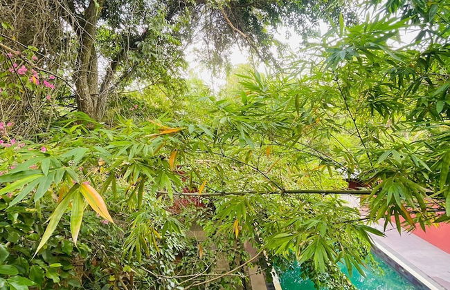 Villa Tambaka Retreat - Photo 32