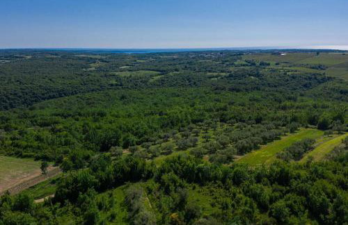 Villa Skarline - Foto 46