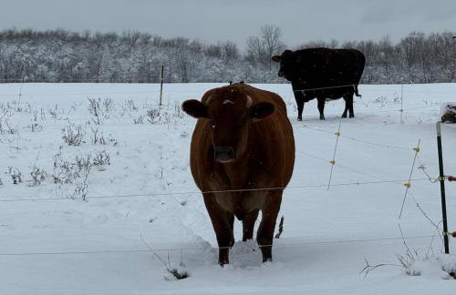 Lakefront Farmhouse for Family Gatherings - Foto 5