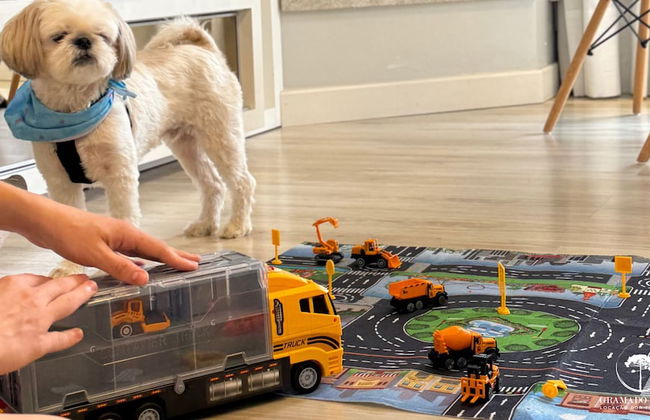 APARTAMENTO NOVO CENTRO DE GRAMADO - Foto 30