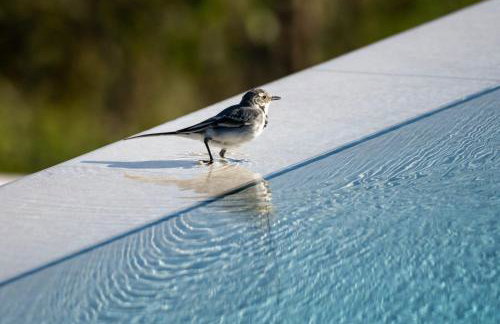 Villa Andolini - Foto 44