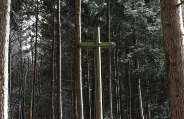 Les Perruchons ancienne grange rénovée avec soin - Foto 61