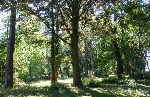 Ferienwohnung mit Brockenblick - Foto 45