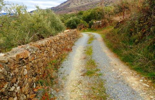 AT Rural NAVALINDA - Foto 31