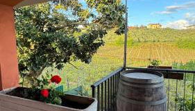 Poggio agli Ulivi vicolo di Colle Reti 22 Frascati - Foto 3