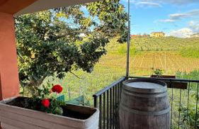 Poggio agli Ulivi vicolo di Colle Reti 22 Frascati - Foto 3