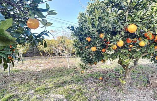 Casa do Vale-Villa with private pool and garden - Foto 6