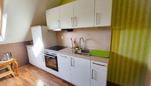 Exclusive Dachgeschosswohnung in Haren/Emmeln - Foto 5, stove, dishwasher