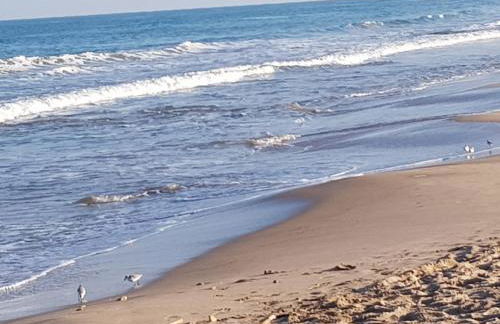 Exclusive Apartment - Playa de Marenys de Rafalcaid - Photo 48