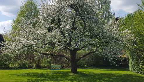 Hof Klostermann - Foto 5, Garden