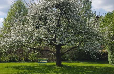 Hof Klostermann - Foto 5