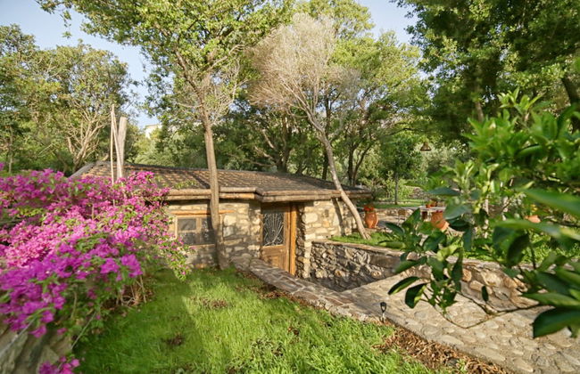 Captain Ikaros - Foto 49