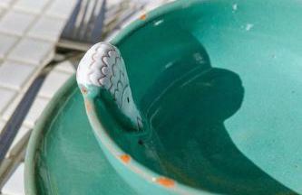 VILLA Centre Guethary piscine acces ocean a pied - Foto 17