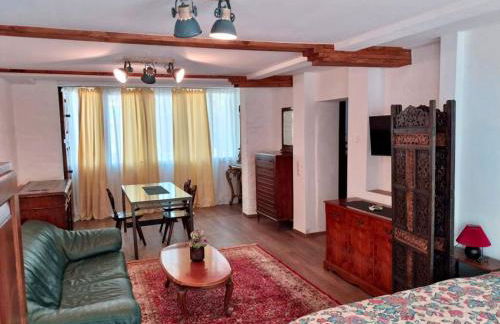 Ferienwohnungen Bernsdorfer Straße Chemnitz - zentrumsnah, teilweise mit Balkon oder Terrasse, große Parkanlage - ideal für Familien, Paare und Geschäftsleute - Foto 1