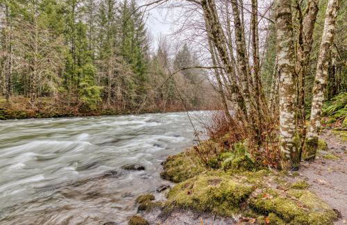 Campfire Cabin on the River - Foto 38