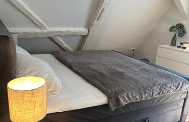 Historisches Eckermannhaus - Apartments - Foto 26