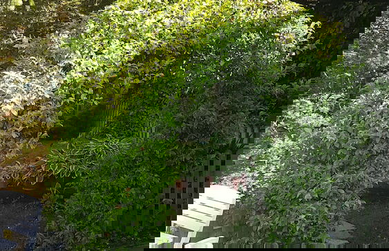 Los Arcos de Barasona - Foto 32