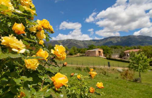 Agriturismo Tenuta del Daino - Foto 50