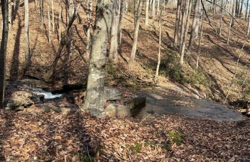 Waterfalls Canyon 41.5 Acres W Miles of Trails - Foto 20