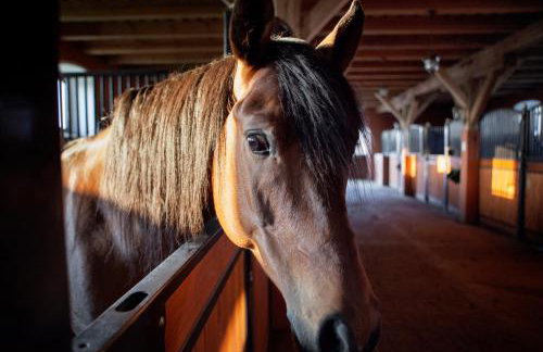 Zespół Pałacowy Pacółtowo na wyłączność - Foto 26