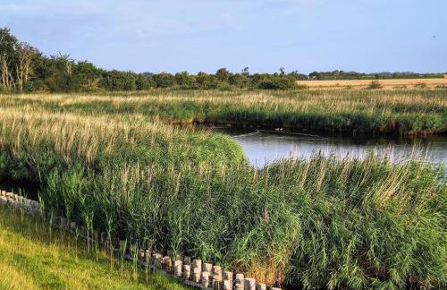 Apartment in Orth - Foto 36