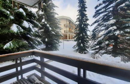 Ski House Marmotta - Photo 15