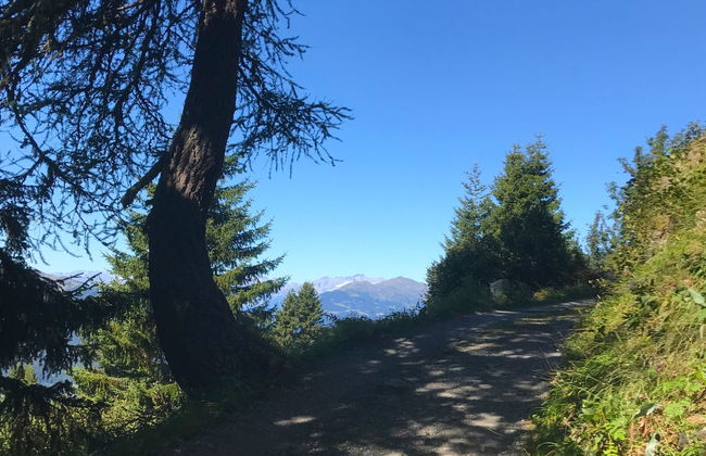 Sur Baselgia - Foto 31