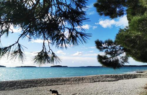 Boutique Apartment Lola - Foto 28