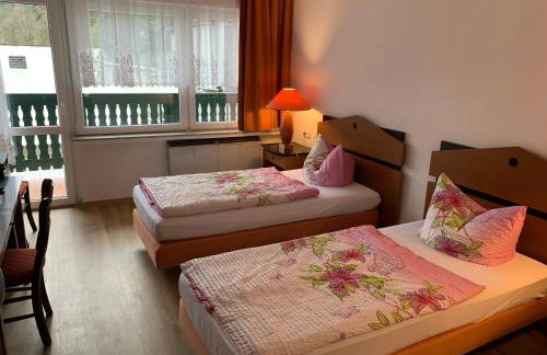 Gasthaus und Pension Zur Libelle - Foto 4