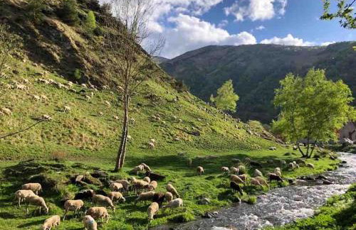 Maison typique rénovée 4 CHBR lac d'Oô Peyragudes - Foto 23