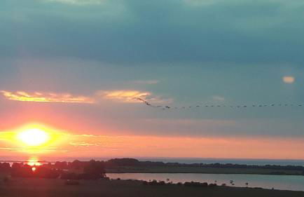 Haus Sonne,Seeblick 57 - Foto 11