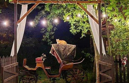 Gniazdo w Felicjanowie - Foto 18