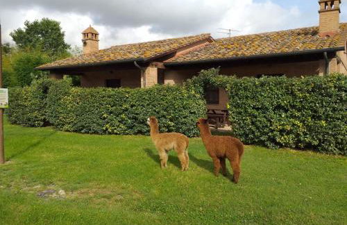 Holiday Home Fabelhaftes Ferienhaus 8 Betten by Interhome - Foto 1