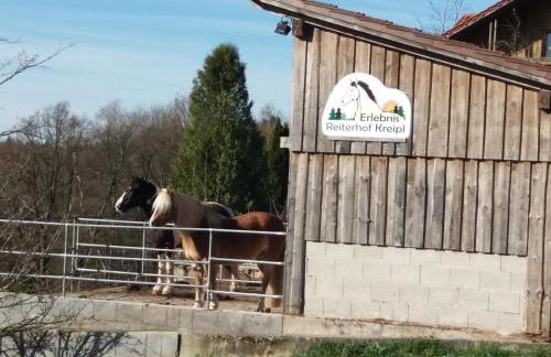 Ferienwohnung auf dem Erlebnisreiterhof Kreipl - Foto 8
