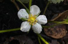 La finestra sul Farfa - Foto 29