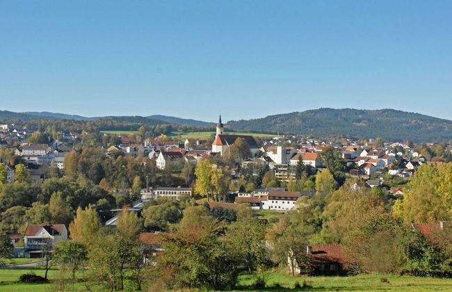 Lovely Holiday Home in Viechtach near Forest - Photo 23