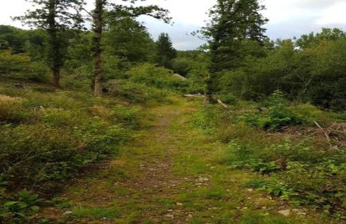 Villa near Montgó with Pool and Beach - Foto 40