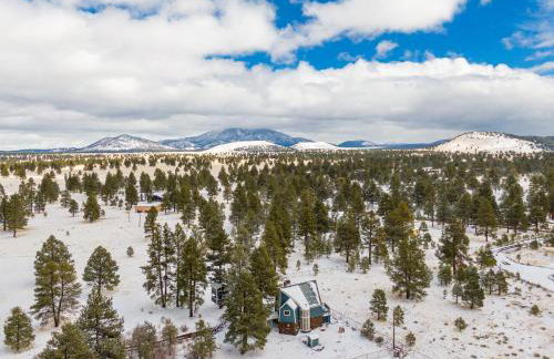 Wild Bill Retreat Treehouse Acre of Fun Near Grand Canyon Williams - Photo 36