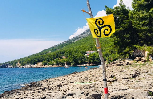 Dino - Gorgeous Garden - SA1 Zavala - Photo 30